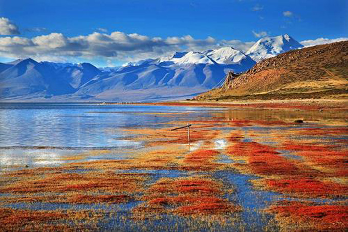 1617767753129164.jpg 阿里3.jpg