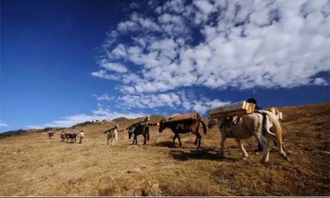 西藏自治區(qū)茶馬古道旅游發(fā)展專項(xiàng)規(guī)劃 01.jpg